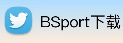 BSport下载 logo